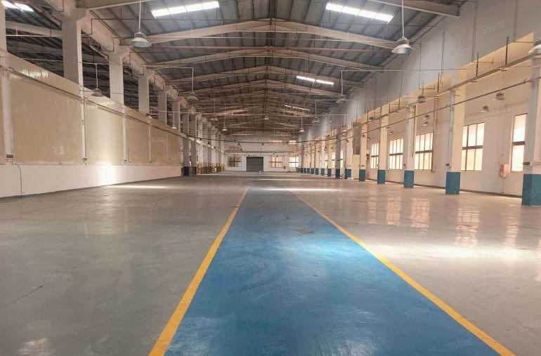 谢岗镇小独院，钢构1500平，价格14元，高度9米，形象好