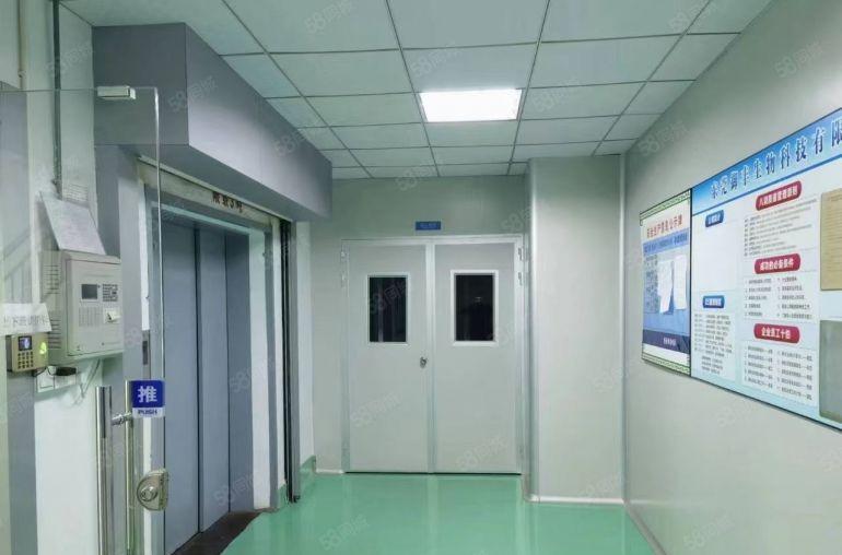 8元价格可谈原房东谢岗桥头1000平方精装修厂房可分租