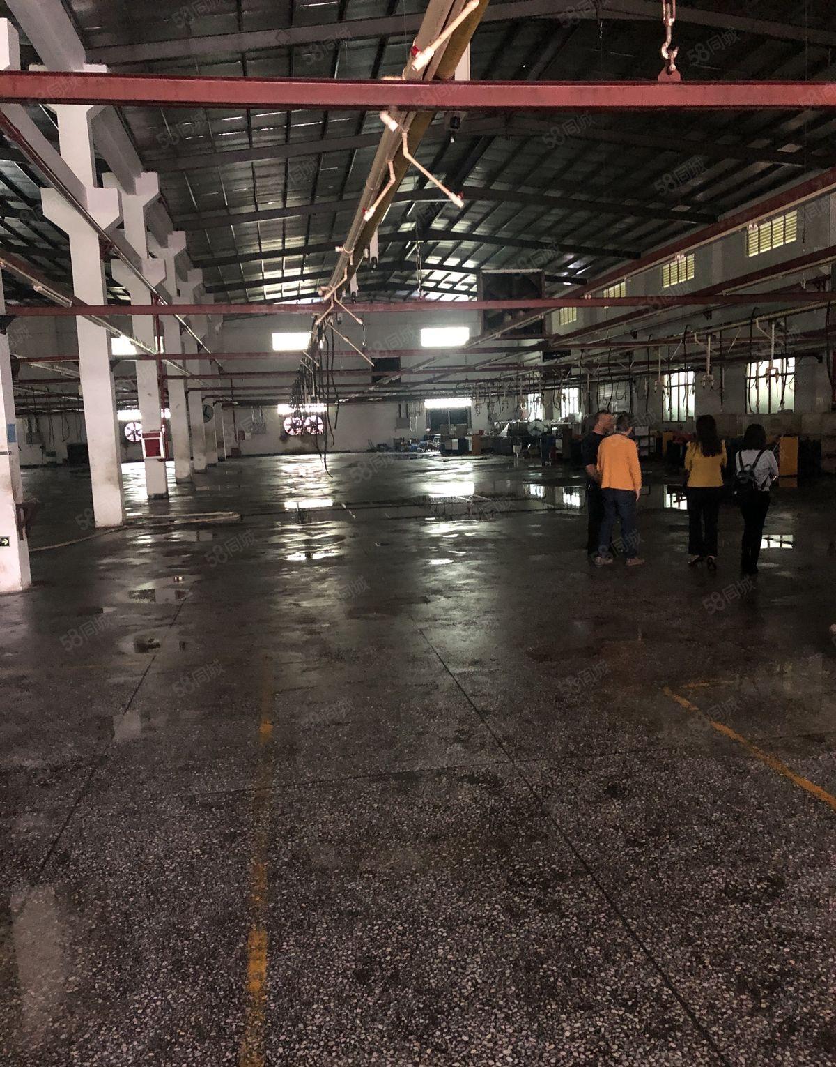 谢岗厂房出租1800平方独门独院钢结构滴水高度8米原房东出租