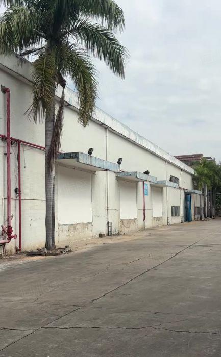 谢岗镇标准厂房出租仓库出租2600平方水电齐全带卸货平台