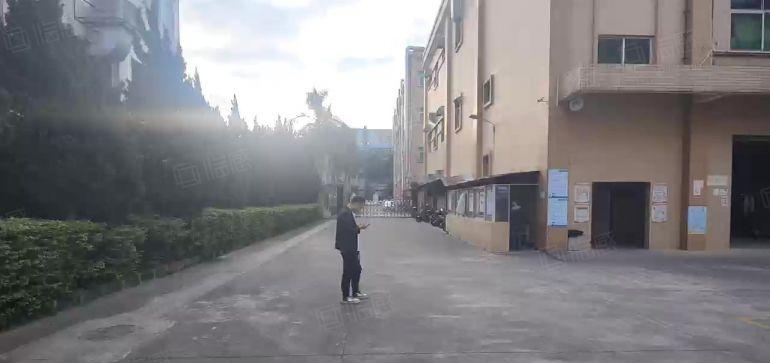 分租仅8.8元谢岗镇原房东实际面积超大空地独门独院可分层出租