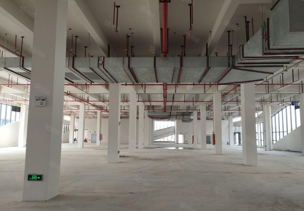 谢岗镇赵林村带国有证原房东全新独院厂房10000平米出租