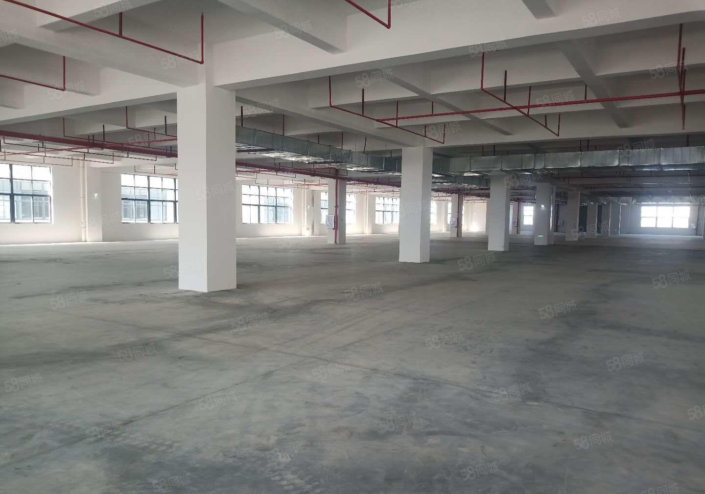 谢岗新出现成环评工业厂房20000平，空地大，形象好高速近