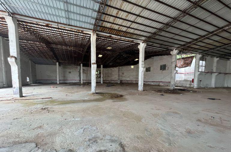 谢岗新出靠山独院3000平厂房出租适合五金喷粉玻璃家居小污染