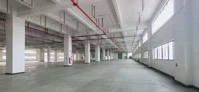 谢岗厂房出租，大小可分，还有仓库出租，原房东低价出租