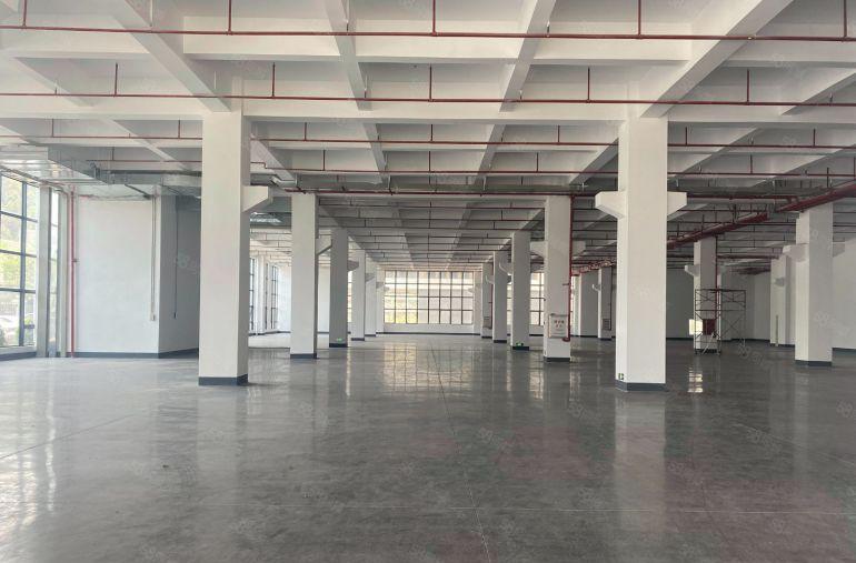 原房东无公摊8元两百平起租东莞高埗万江5千平一楼仓库厂房出租