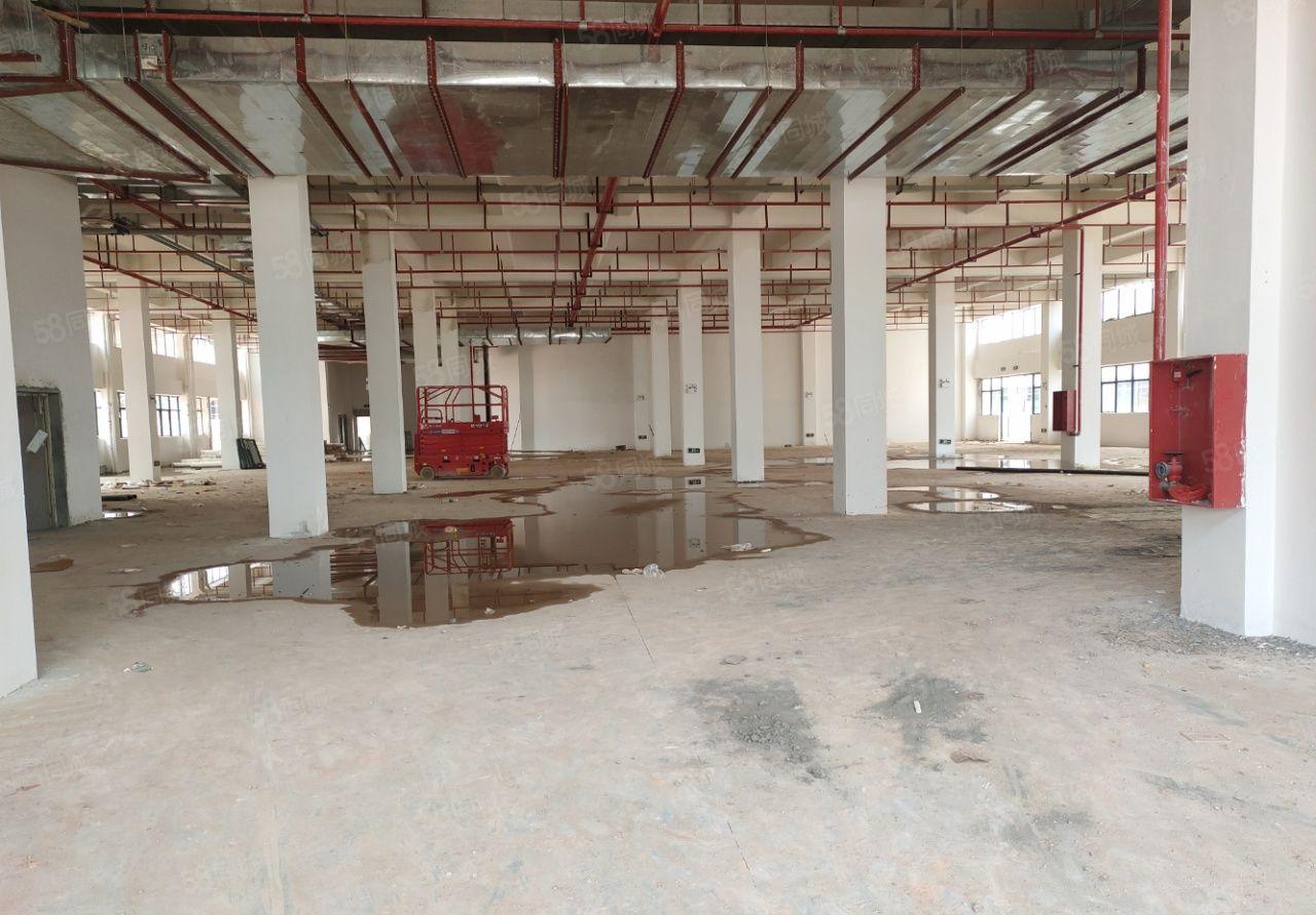 谢岗镇赵林村带国有证原房东全新独院厂房10000平米出租