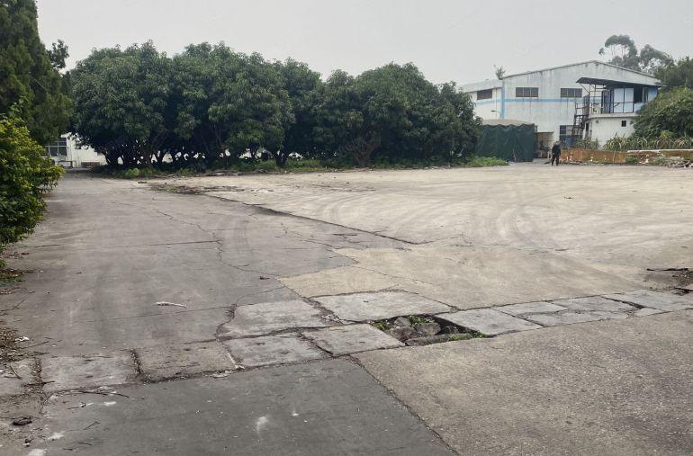 谢岗镇砖墙到顶单一层厂房面积9500平方，滴水10米，带行车