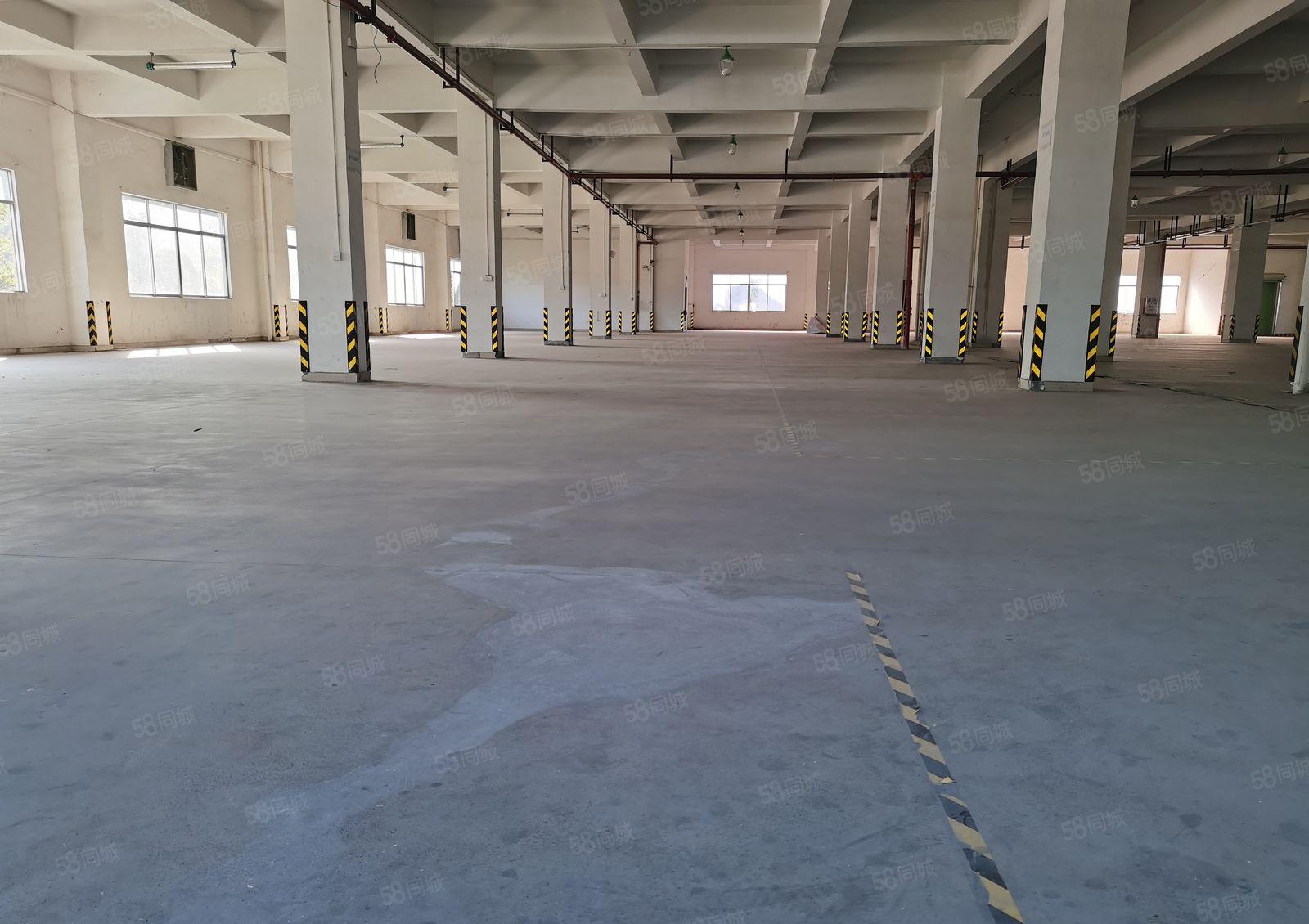 谢岗镇厂房出租喷油喷粉烤漆酸洗碱洗前研磨处理超声波清洗涉水