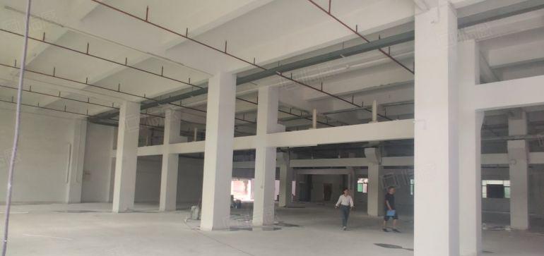 大小可分租原房东8元面积实量谢岗樟木头5千平一楼仓库厂房出租