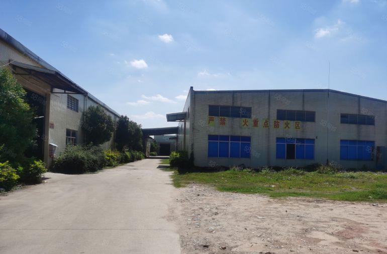 谢岗工业园个人低价便宜单一层钢构工业厂房出租1万平可大小分租