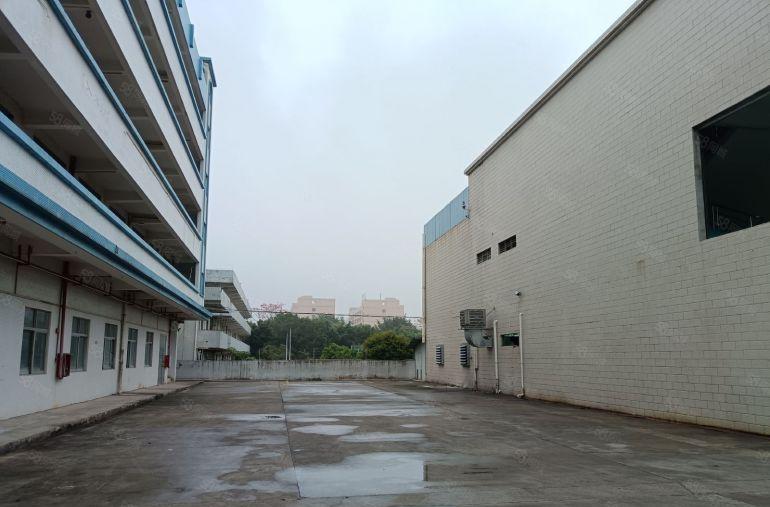 惊呆了，不仅零公摊，还低于市场价租，谢岗镇独院厂房出租