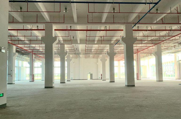 肇庆市肇庆新区现代产业园珠三角环线高速附近100万平厂房出租