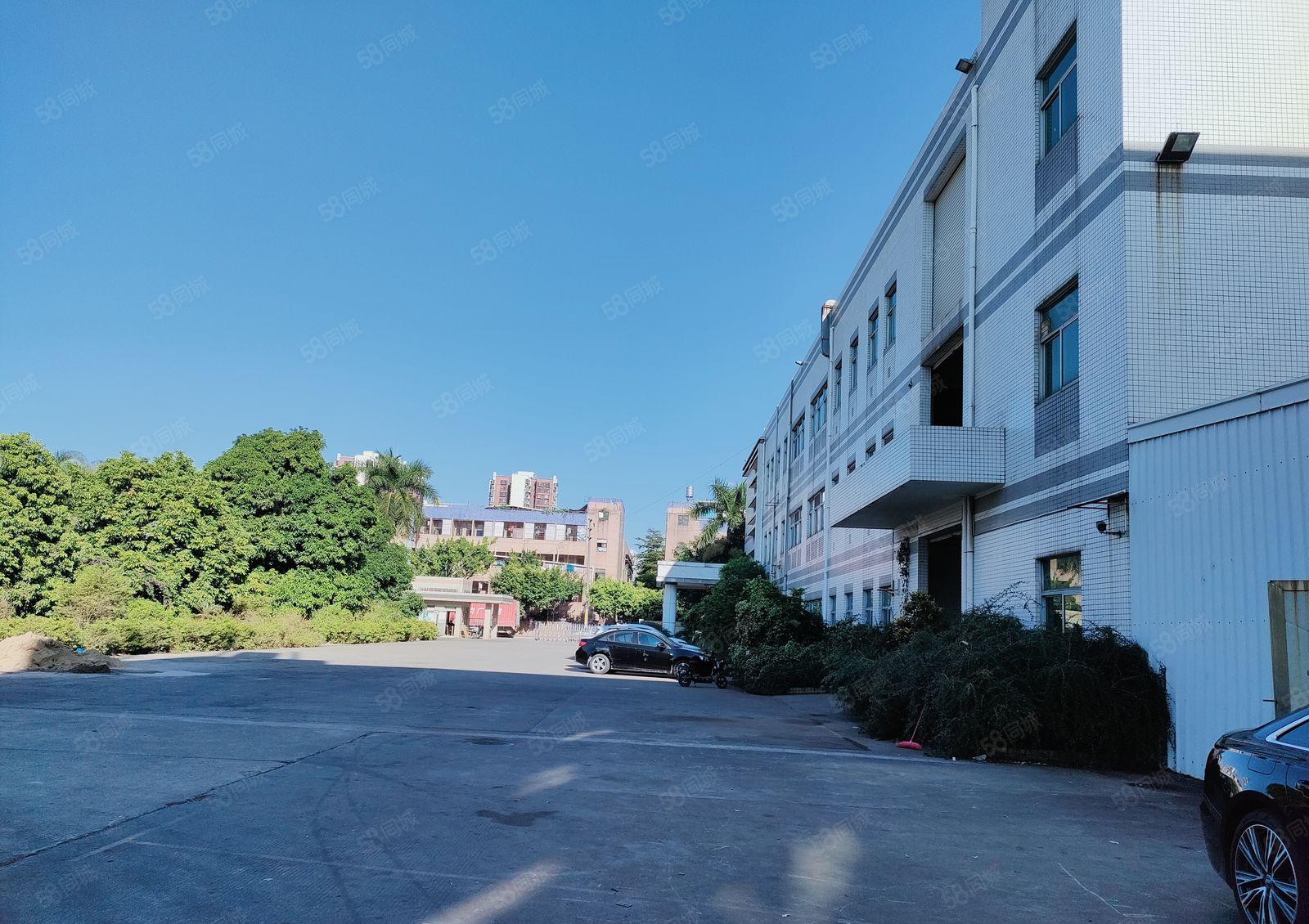 东坑路口靠近大朗方向现新空一楼700平方由于订单少厂房出租