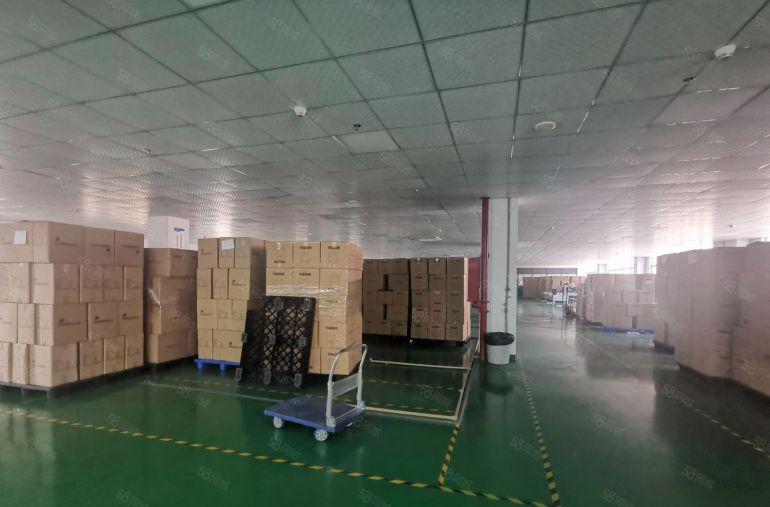 100平起大浪工业园整层2000平电商办公室仓库厂房出租分租