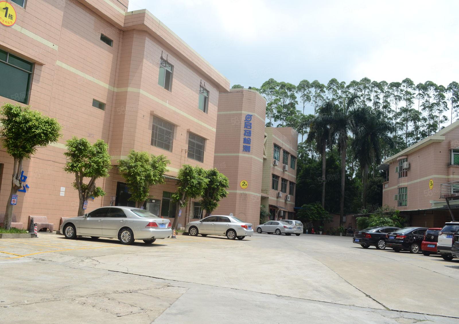 广州新塘五期厂房   价格可议