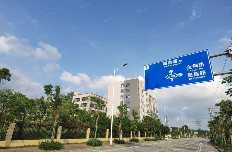 东莞产业转移优选  全新厂房企业独栋    租金10多元