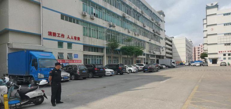 100平起大浪工业园整层2000平电商办公室仓库厂房出租分租