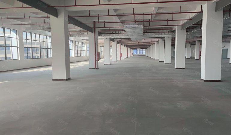 仅租6元 惠州仲恺高新科技创新园300平起租 适合各行业