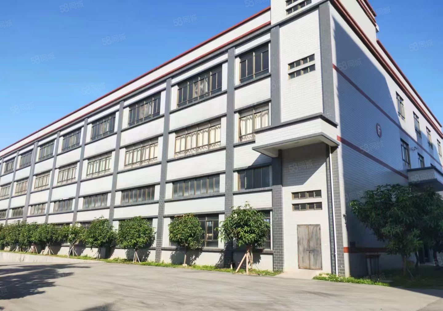 沙井新出原房东独院标准厂房可分租形象好