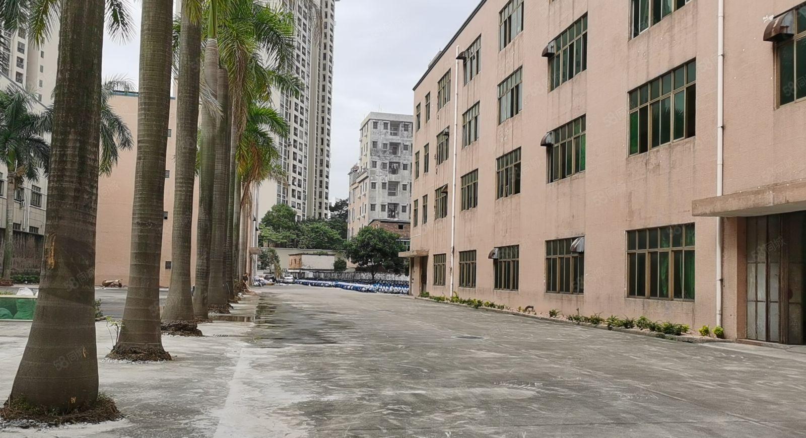 广州新塘五期厂房   价格可议