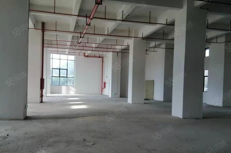 靠深圳厂房，仓库，办公楼！东莞黄江开发商直租！价格免租期面议