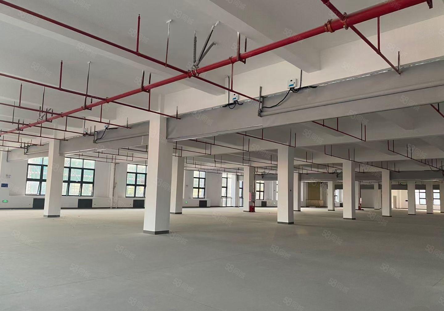 沙井新出原房东独院标准厂房可分租形象好