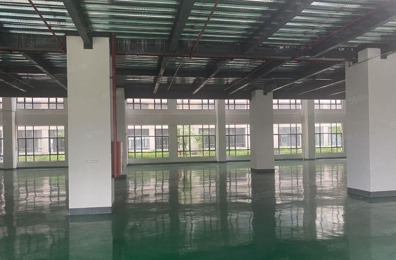 惠州仲恺高新区甲方直租，特价8.8元，定制装修交付。