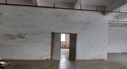 只租13块每平 凤岗油甘铺天桥附近出租楼上厂房700平