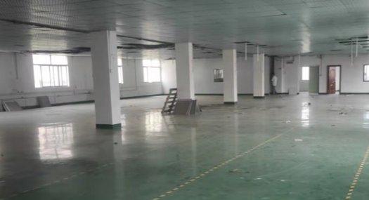 东莞市塘厦石谭埔 250㎡ 一楼3.8高标准厂房租售 可分租