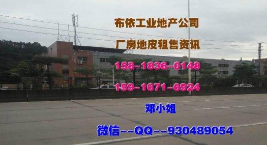 东莞市塘厦镇６０００平方米标准独院厂房出租（原业主）