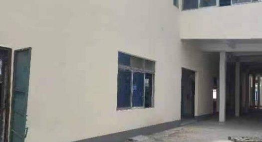 东莞东莞市 中堂镇蕉利工业区5508㎡ 厂房租售 独院 可分租