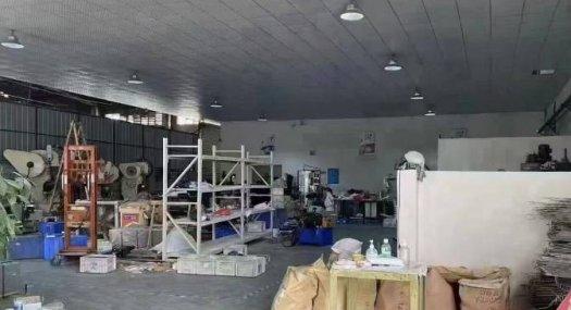 大岭山杨屋工业区 标准一楼厂房出租 800平 带装修