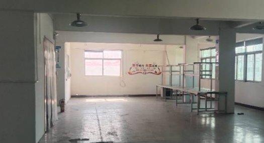 东莞东莞市 长安沙头东大路附近600㎡ 厂房租售层高4.5米 配电450KVA 独院 可环评 可分租