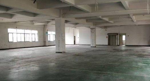 东莞市大朗镇新马莲u村3楼厂房出租1420平方