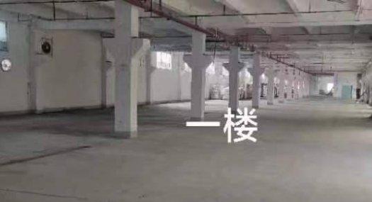 东莞东莞市 中堂镇蕉利工业区5508㎡ 厂房租售 独院 可分租
