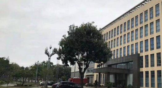 凤岗镇雁田红本独院50000平整租或分租，带行车带精装修