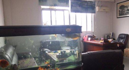 凤岗三联出租二楼厂房650平，价格优惠，适合轻行业