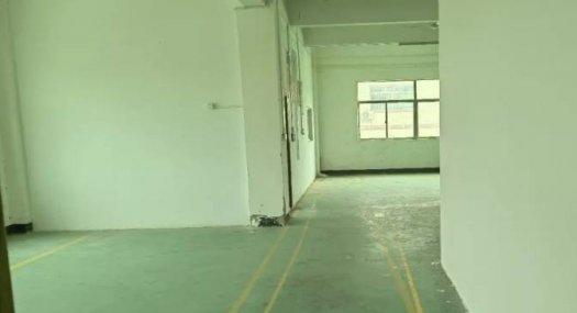 塘厦镇沙湖村1楼厂房出租650平方，3楼800平方