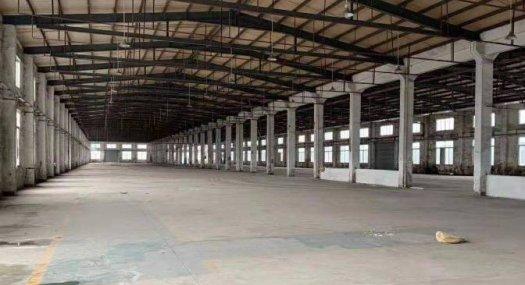 清溪九乡钢材建材冲压钢结构出租2万平空地大滴水8米