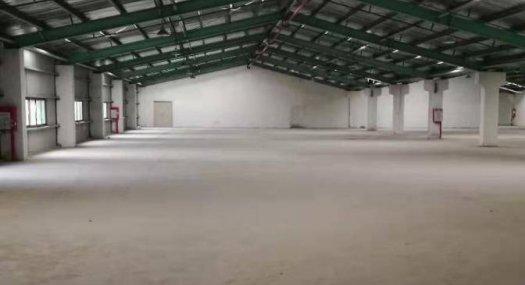 清溪九乡大型物流园钢构厂房出租2500平 空地大 近高速