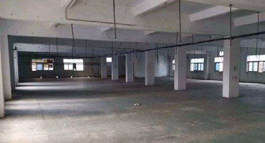 凤岗雁田出租独门独院配电315 空地大 可大小分租