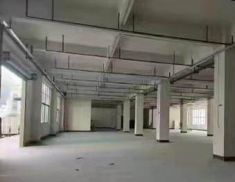 东莞东莞市 东莞凤岗6000㎡ 厂房租售层高6米 配电315KVA 独院 可环评 可分租