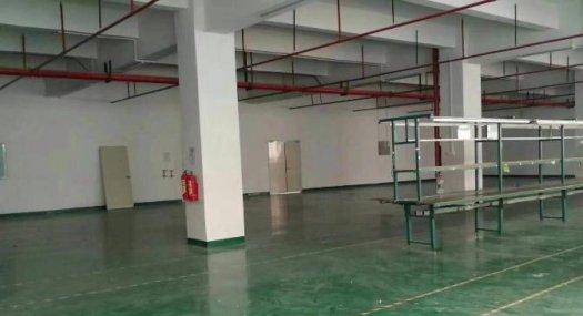 凤岗金凤凰楼上带消防喷淋 面积实在厂房出租1400平