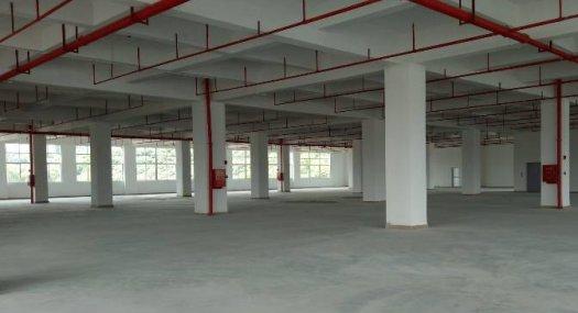 凤岗金凤凰独栋厂房出租 带牛角 可办环评 可分租