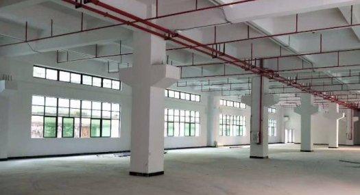 凤岗镇金凤凰全新厂房出租一楼1520平带牛角高6米好招工