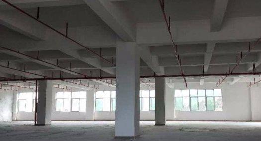 可办环评凤岗金凤凰科技园出租楼上4300平可分租交通方便