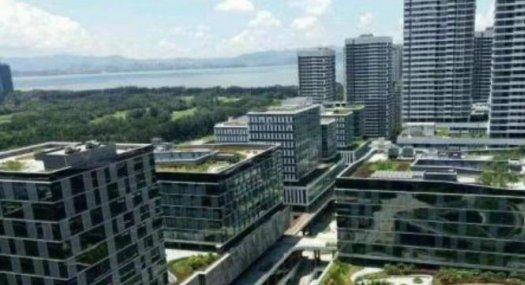 大岭山镇临深红本花园式单层/独栋研发厂房出售面积1250到26000㎡，付三成的款，其余按揭