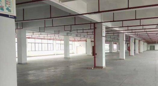 东莞东莞凤岗金凤凰12000㎡ 砖混厂房租售层高6米 跨度300米 配电315KVA 独院天车3吨 有蒸汽 有燃气 可环评 可分租