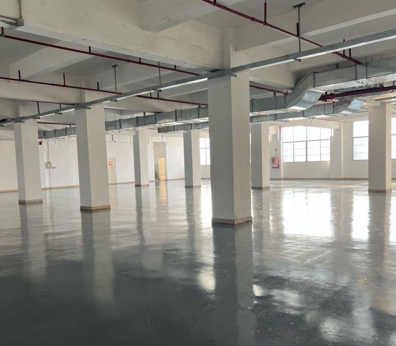 塘厦横塘原房东二楼1960平方米可分租